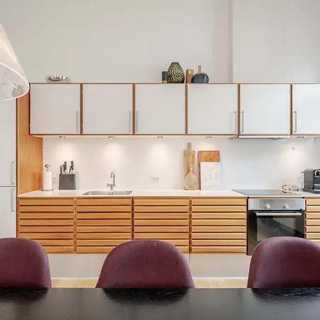 Spacious With Private Terrace Kopenhaga